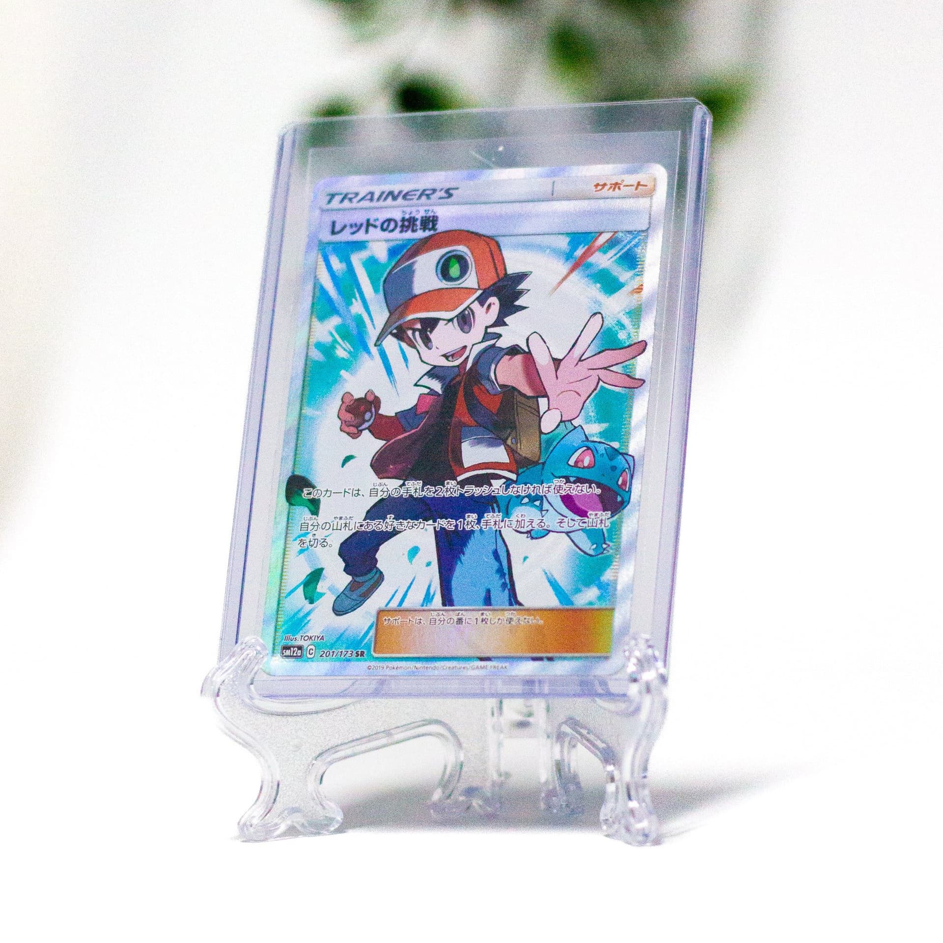 Display Stands (5 Stück) – Codacollect